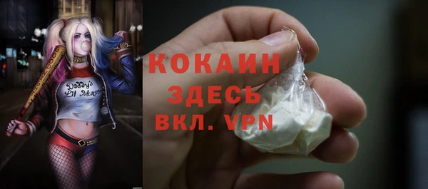 индика Волосово