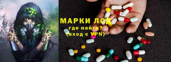 молекула духа Болотное