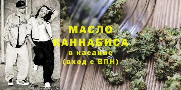 индика Волосово