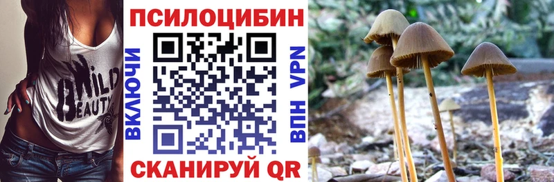Галлюциногенные грибы Psilocybine cubensis  Калтан 